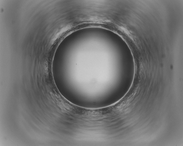 X0000090501307200707131342
