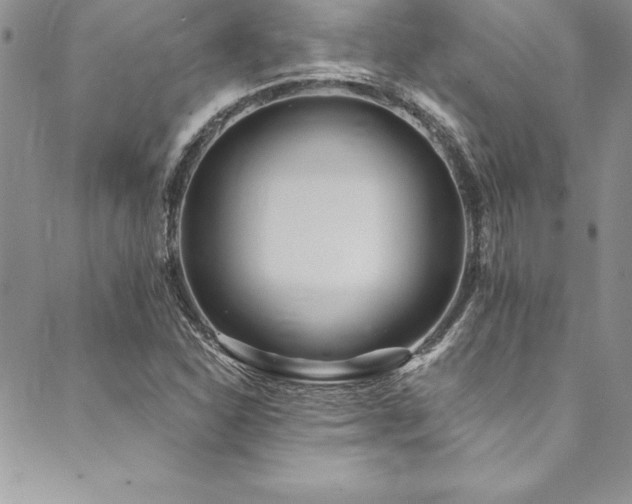 X0000090501310200707131342