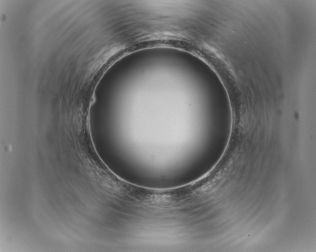 X0000090501313200707131342