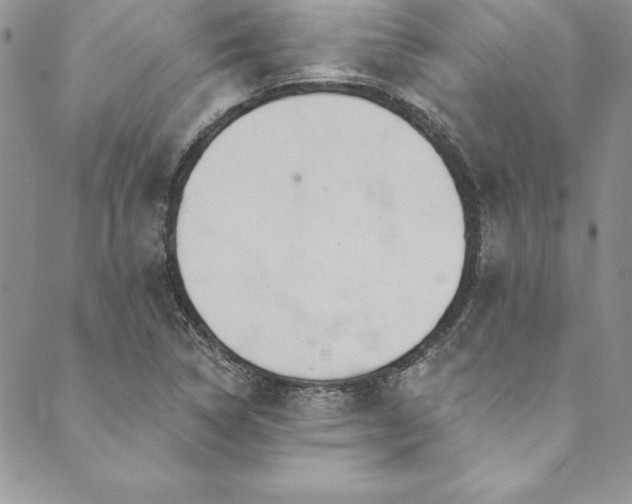 X0000090501314200707131342