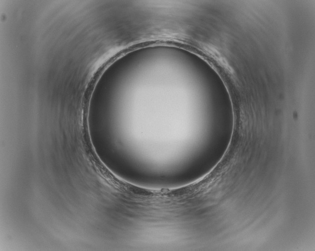 X0000090501316200707131342