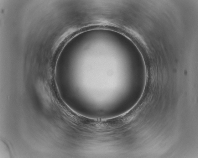 X0000090501318200707131342