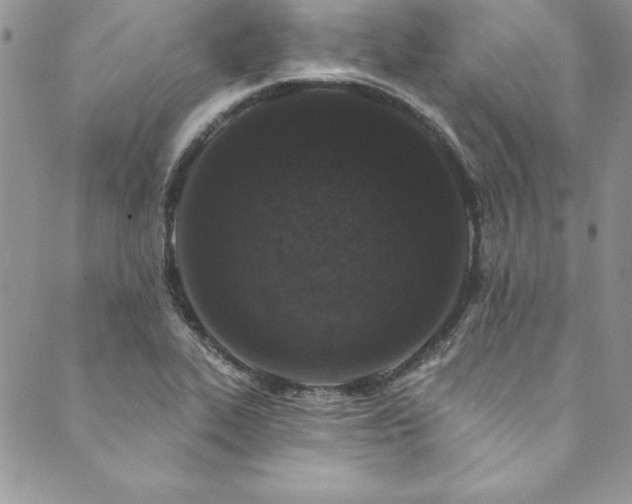 X0000090501319200707131342