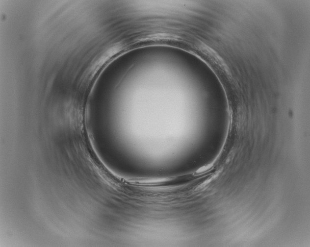 X0000090501321200707131342