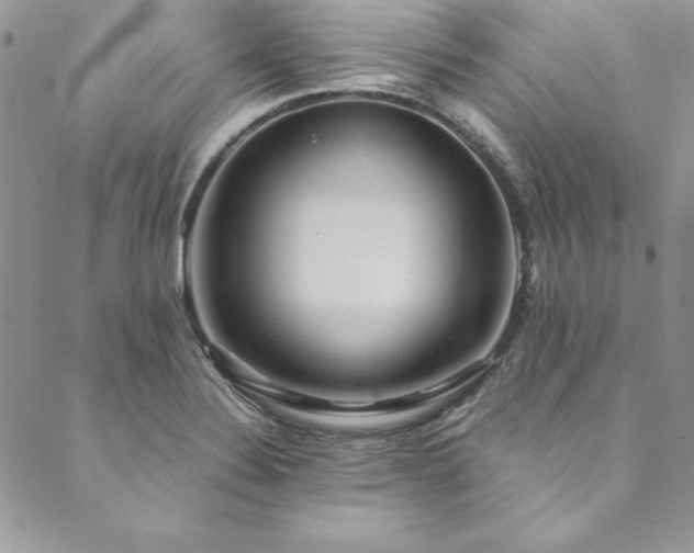 X0000090501324200707131342