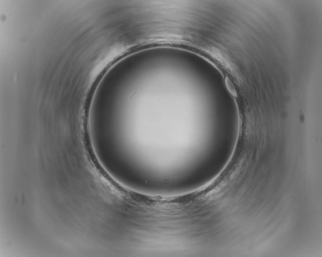 X0000090501325200707131342