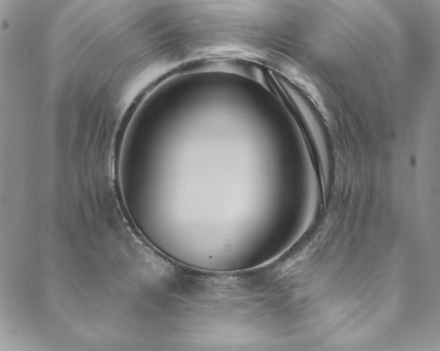 X0000090501328200707131342