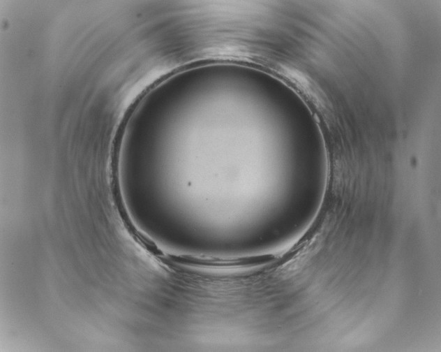 X0000090501331200707131342