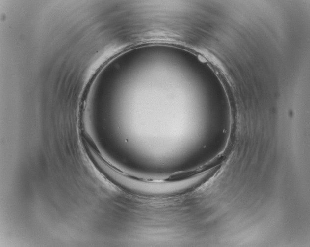 X0000090501333200707131342