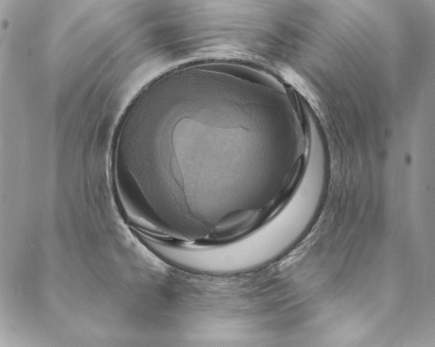 X0000090501334200707131342