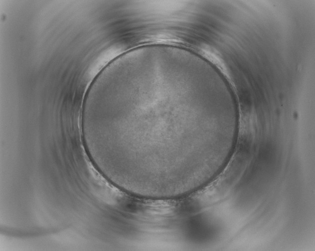 X0000090501338200707131342