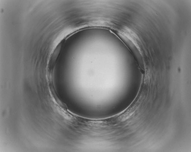 X0000090501342200707131343