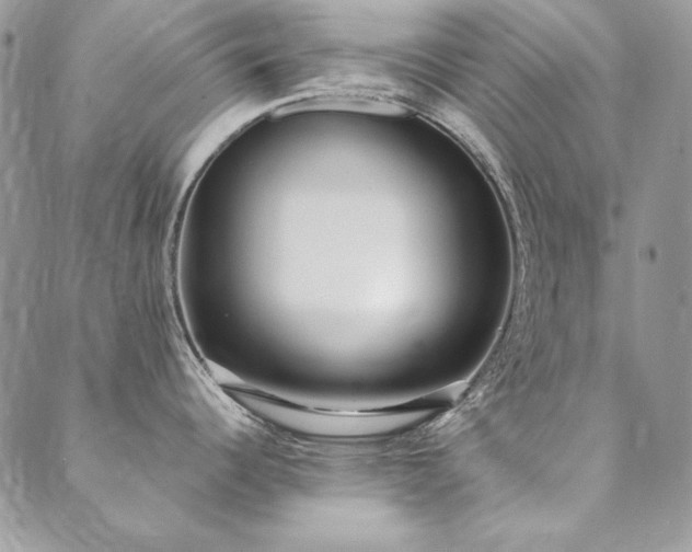 X0000090501344200707131343
