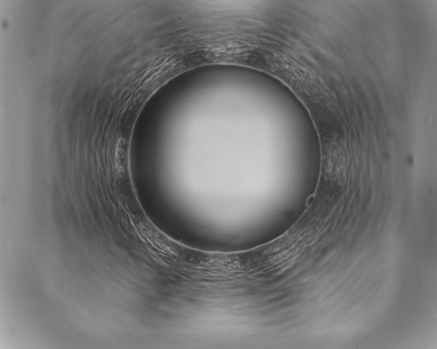 X0000090501346200707131342