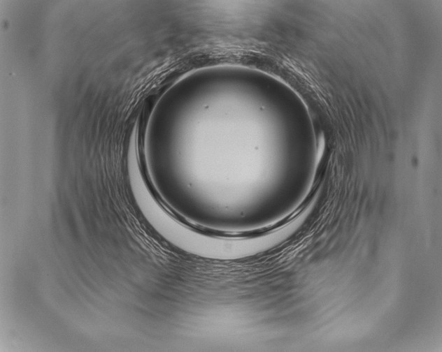 X0000090501348200707131342