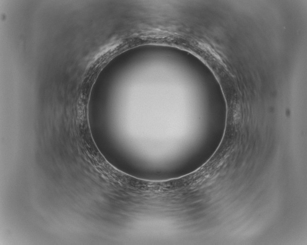 X0000090501350200707131342