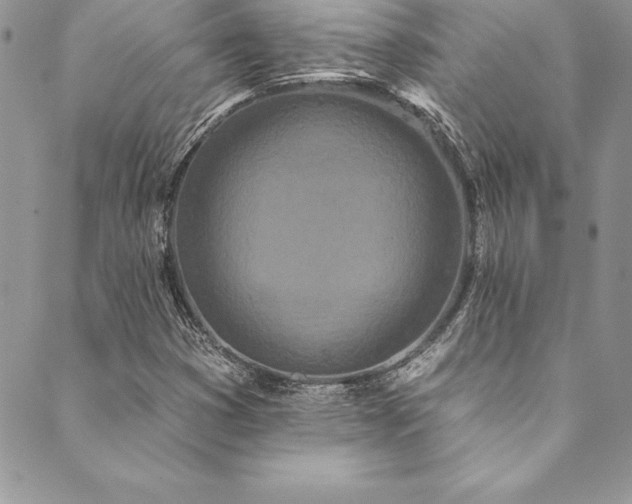 X0000090501353200707131342