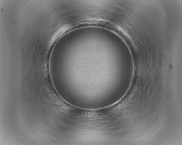 X0000090501362200707131342