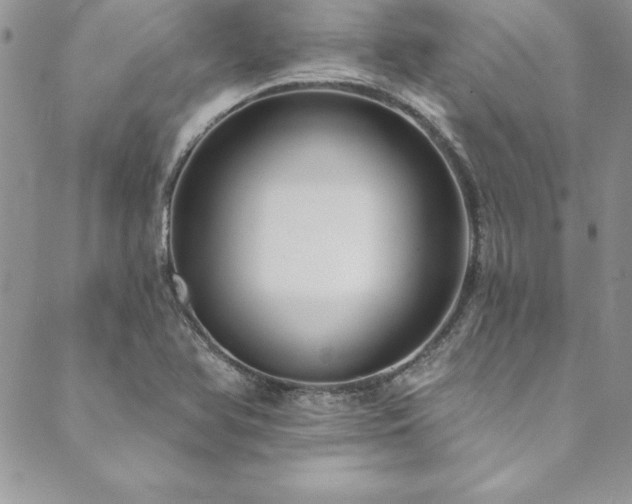 X0000090501366200707131341