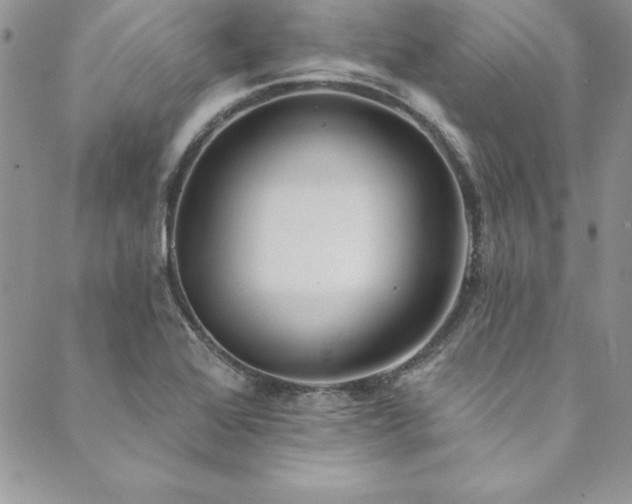 X0000090501368200707131341