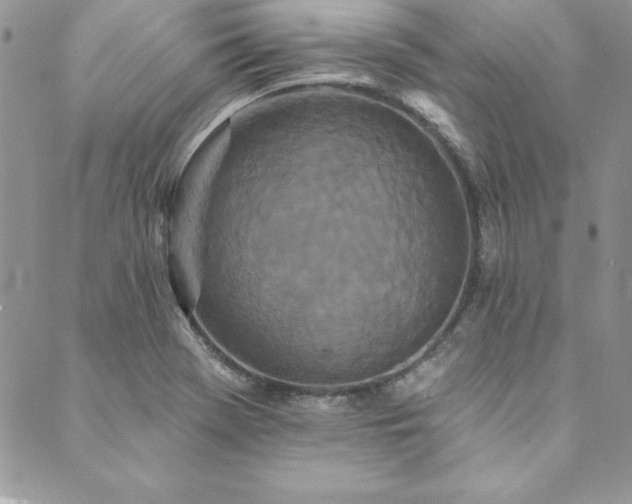 X0000090501369200707131341