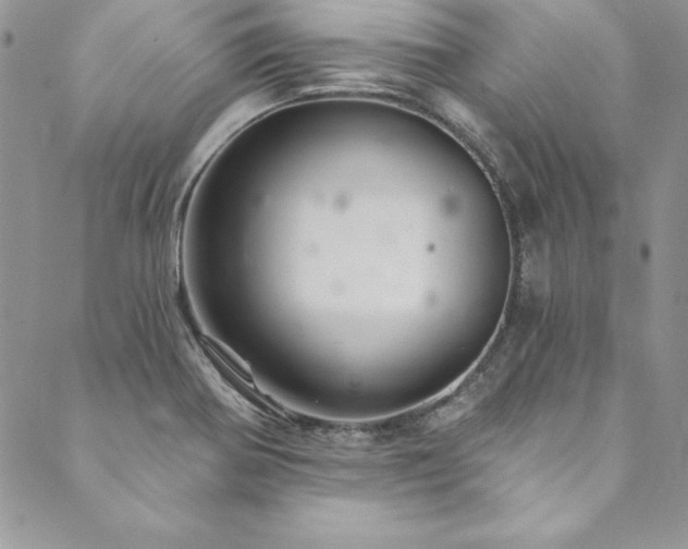 X0000090501370200707131341