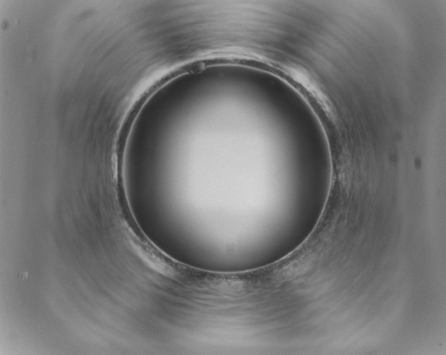 X0000090501372200707131341