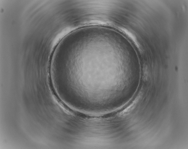X0000090501373200707131341