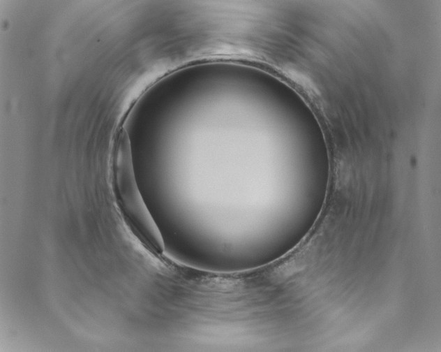 X0000090501374200707131341