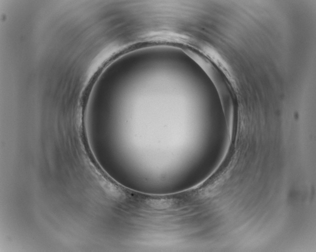 X0000090501376200707131341