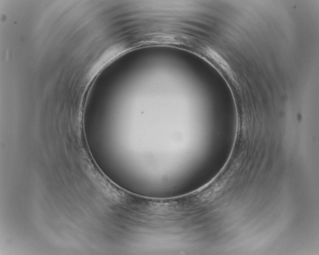X0000090501378200707131341