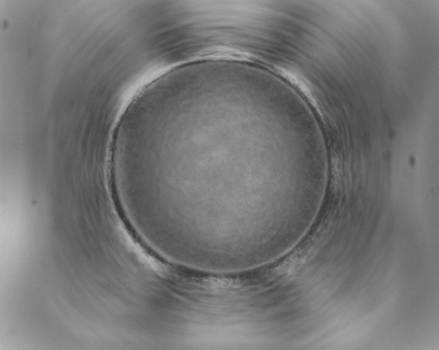 X0000090501379200707131341
