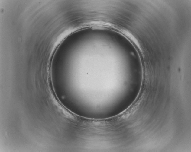 X0000090501381200707131341