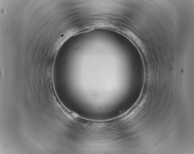 X0000090501385200707131341