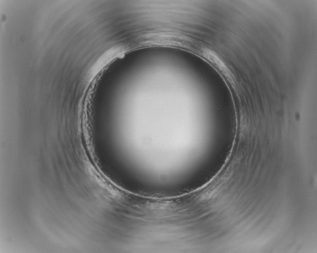 X0000090501386200707131341