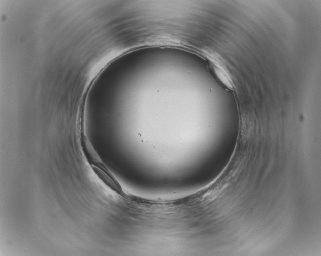 X0000090501387200707131341