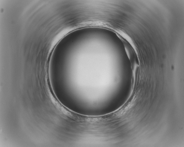 X0000090501389200707131341