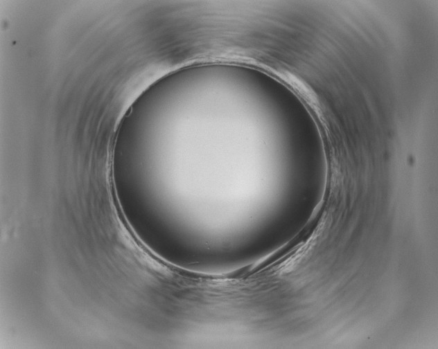 X0000090501390200707131341