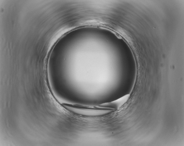 X0000090501392200707131341