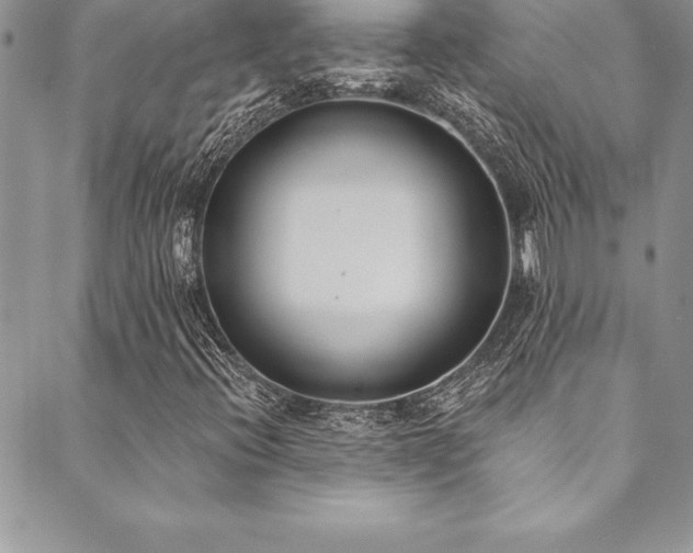 X0000090501396200707131340
