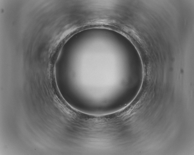 X0000090501404200707131340
