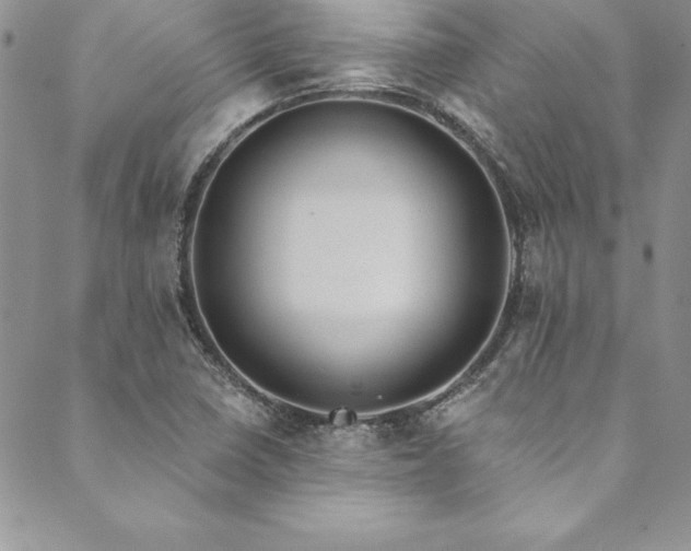 X0000090501410200707131341
