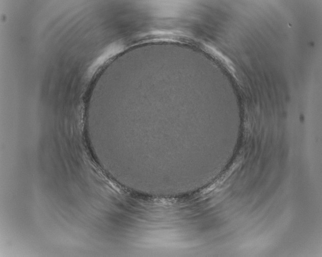 X0000090501411200707131341