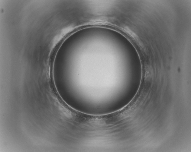 X0000090501414200707131341