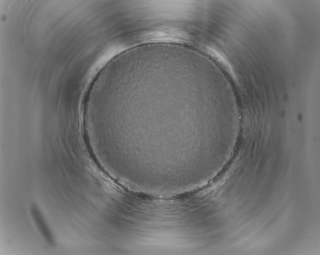 X0000090501419200707131341