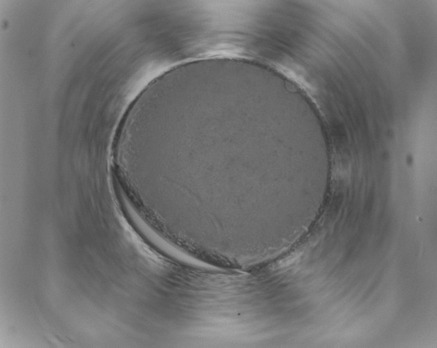 X0000090501423200707131341