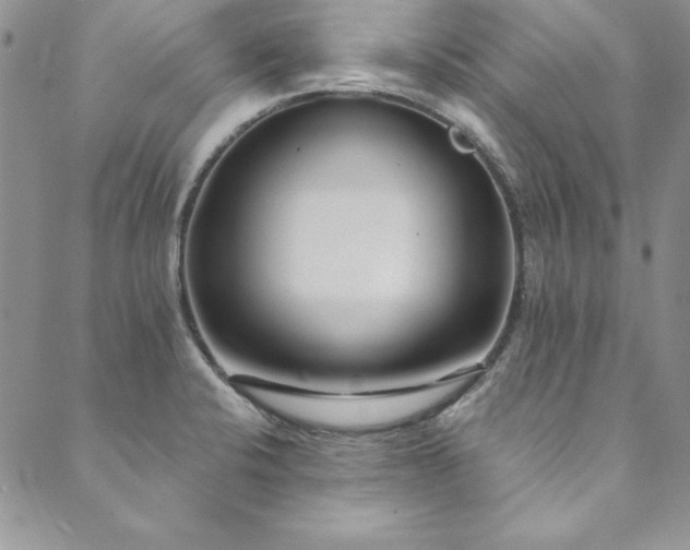X0000090501424200707131341