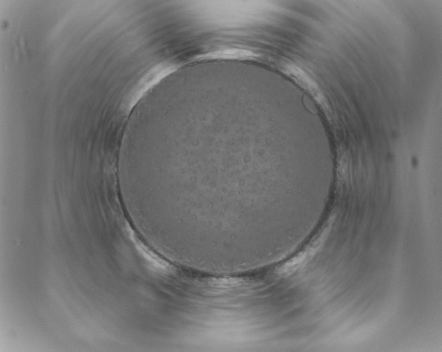 X0000090501425200707131341