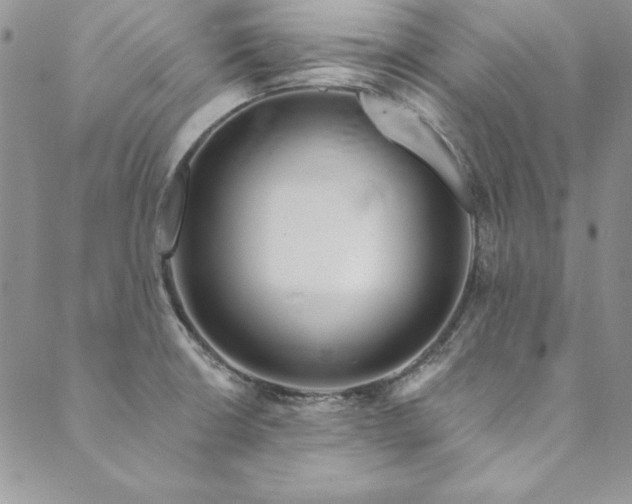 X0000090501426200707131341