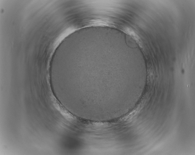 X0000090501427200707131341